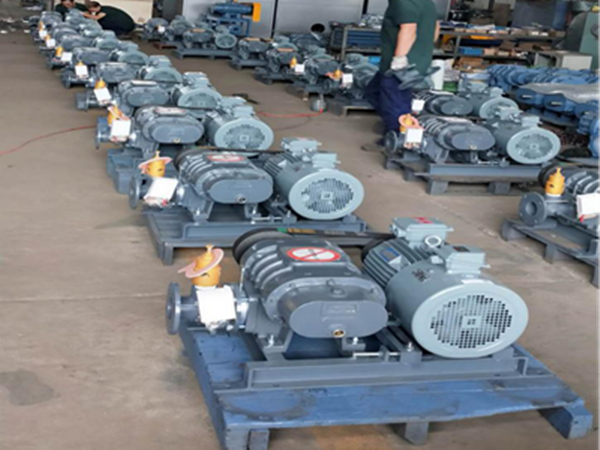 三葉羅茨鼓風(fēng)機(jī)